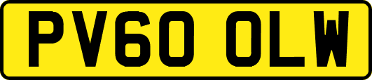PV60OLW