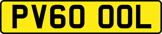 PV60OOL