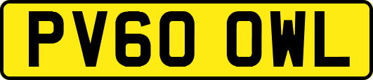 PV60OWL