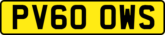 PV60OWS