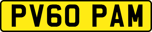 PV60PAM