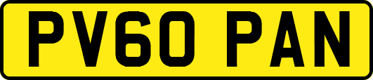 PV60PAN