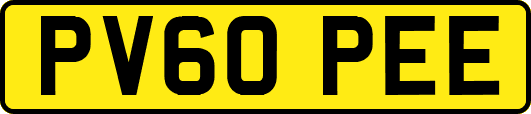 PV60PEE