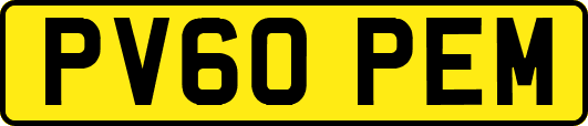 PV60PEM
