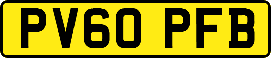 PV60PFB