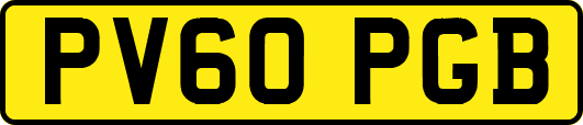 PV60PGB