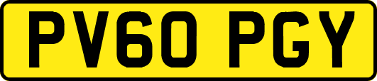 PV60PGY