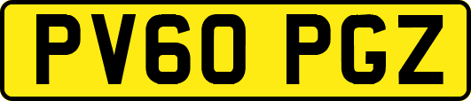 PV60PGZ