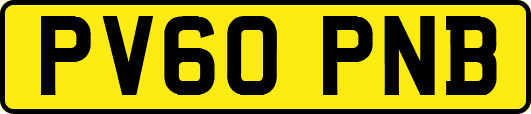 PV60PNB