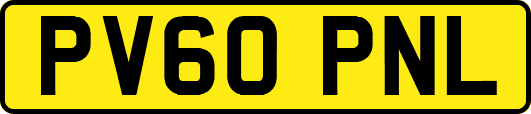 PV60PNL