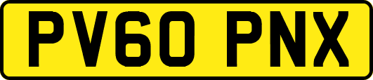 PV60PNX