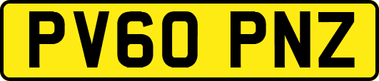 PV60PNZ