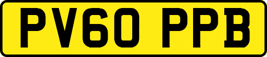 PV60PPB