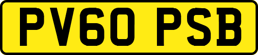 PV60PSB