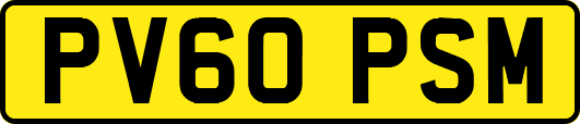 PV60PSM