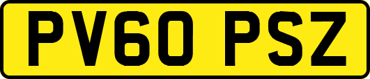 PV60PSZ