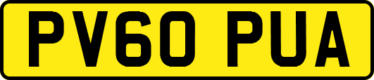 PV60PUA
