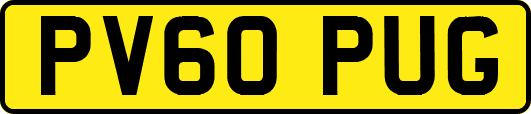 PV60PUG