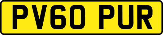 PV60PUR