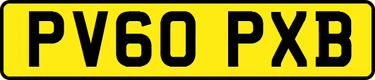 PV60PXB