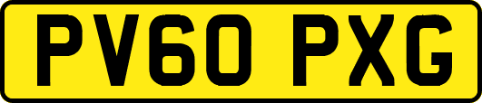 PV60PXG