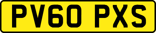 PV60PXS