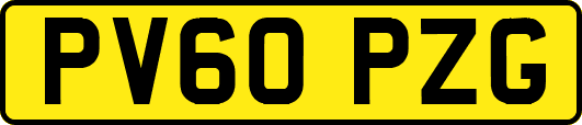 PV60PZG