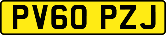 PV60PZJ