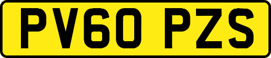 PV60PZS