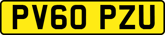 PV60PZU