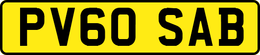 PV60SAB