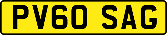 PV60SAG