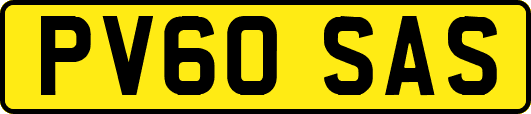 PV60SAS