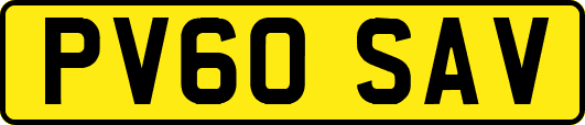 PV60SAV