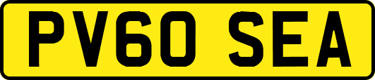 PV60SEA