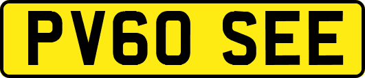 PV60SEE