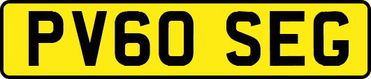 PV60SEG