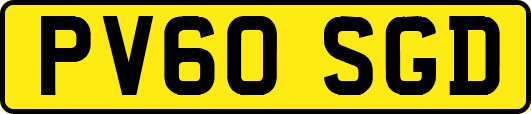 PV60SGD