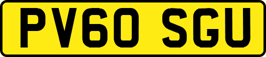 PV60SGU