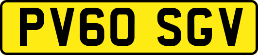 PV60SGV