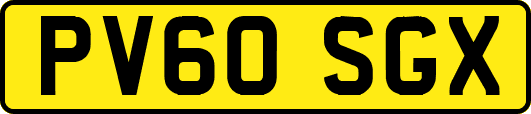 PV60SGX