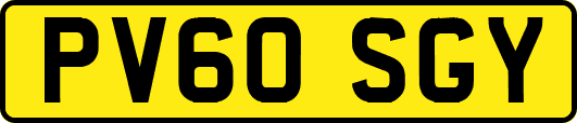 PV60SGY