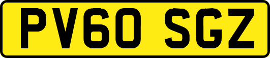 PV60SGZ