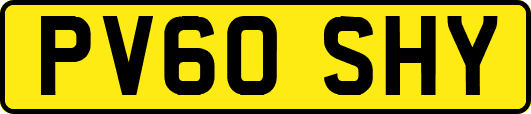 PV60SHY