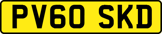 PV60SKD