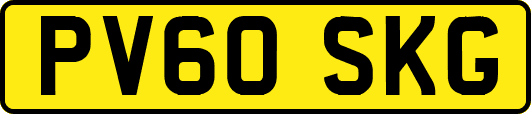 PV60SKG