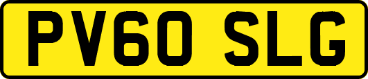 PV60SLG