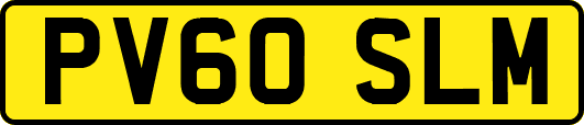 PV60SLM