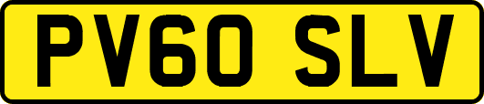 PV60SLV