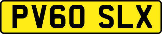 PV60SLX